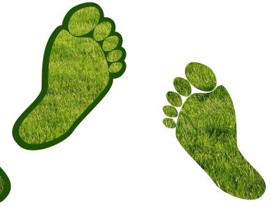 How I reduced my carbon footprint. Hint – it wasn’t easy.